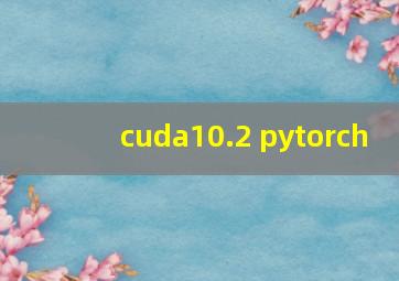 cuda10.2 pytorch